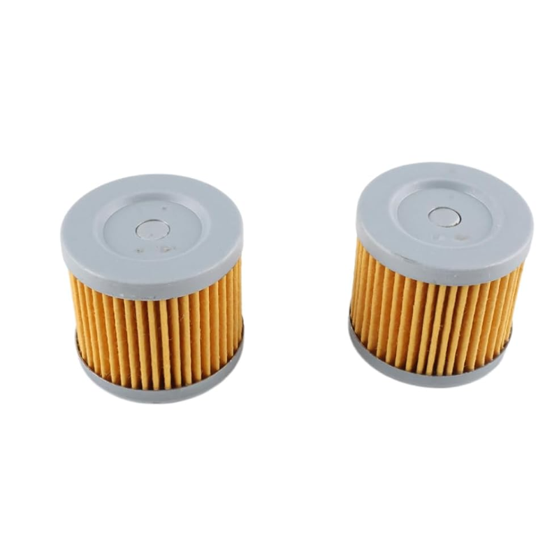 16510-45H10 18-8870 Oil Filter (2pcs)