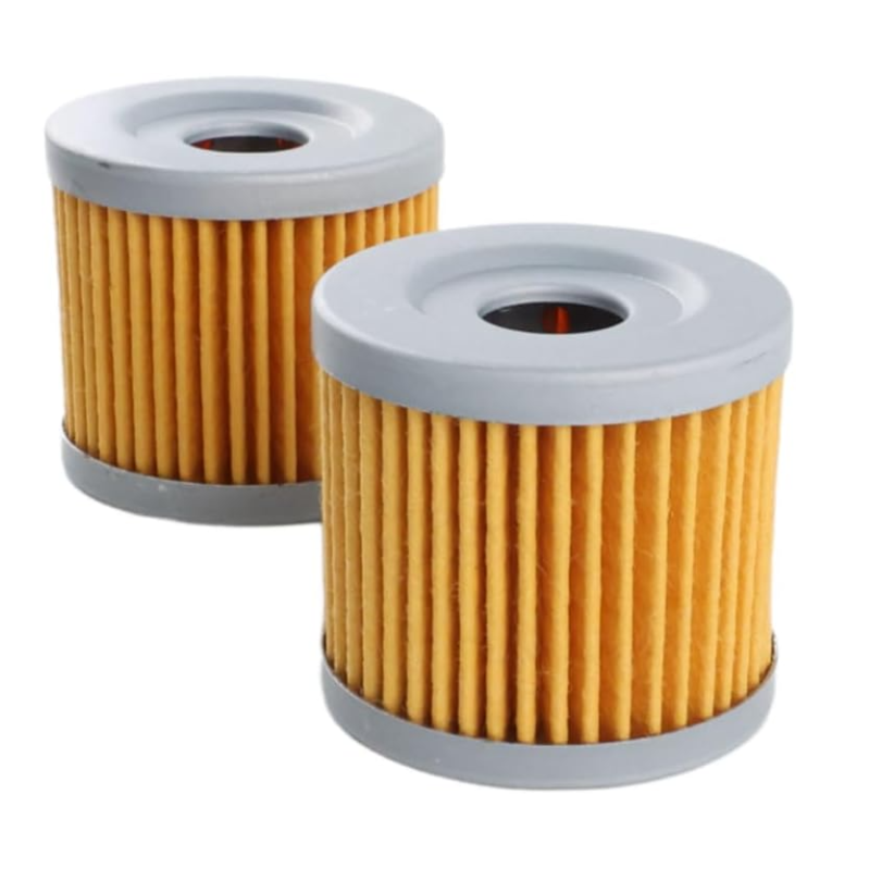 16510-45H10 18-8870 Oil Filter (2pcs)