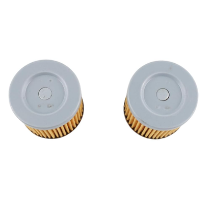 16510-45H10 18-8870 Oil Filter (2pcs)