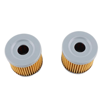 16510-45H10 18-8870 Oil Filter (2pcs)