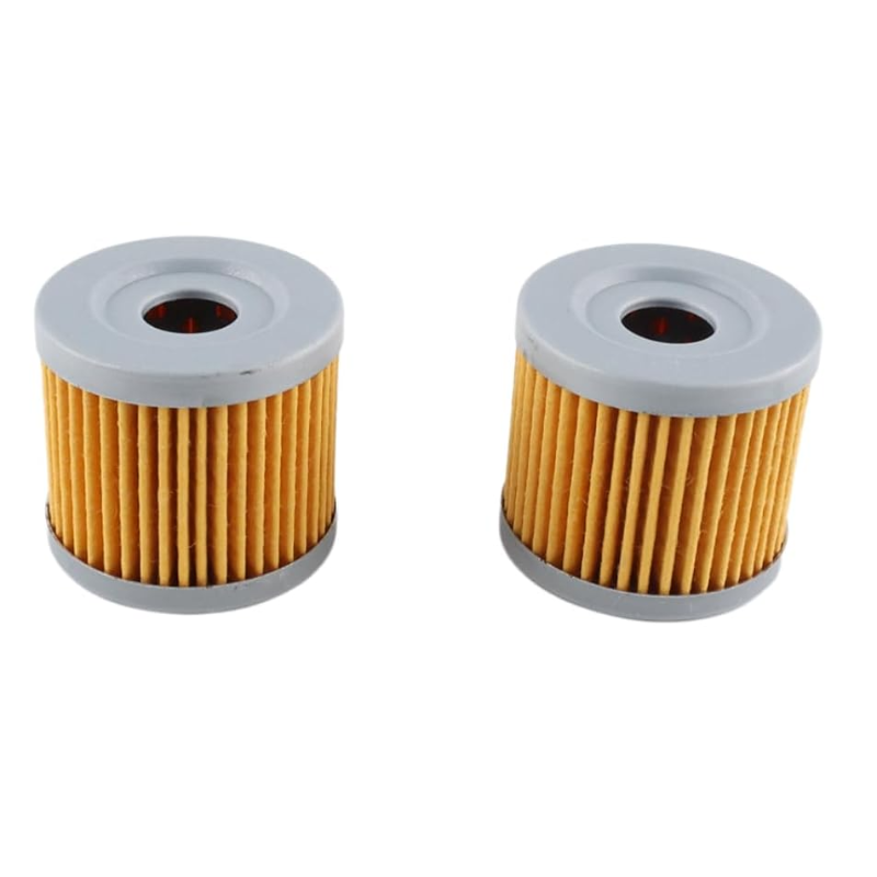 16510-45H10 18-8870 Oil Filter (2pcs)