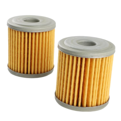 16510-16H11 Oil Filter (2pcs)