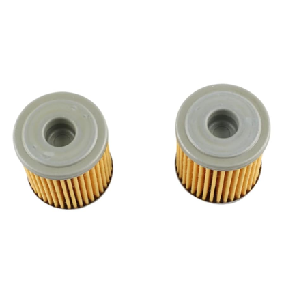 16510-16H11 Oil Filter (2pcs)