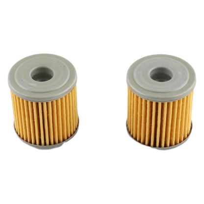 16510-16H11 Oil Filter (2pcs)