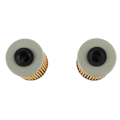 16510-16H11 Oil Filter (2pcs)