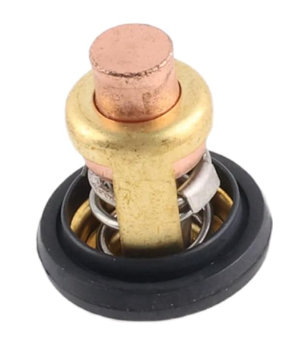 6E5-12411-30 Thermostat