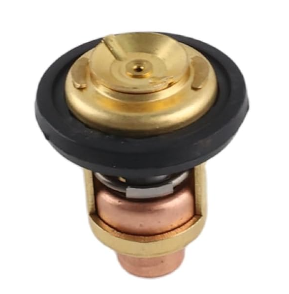 434841 0434841 Thermostat Replacement for Johnson Evinrude Omc Brp Sierra Outboard