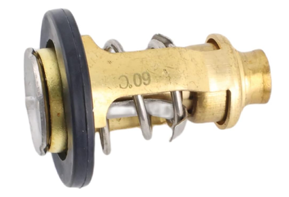67F-12411-01 Thermostat
