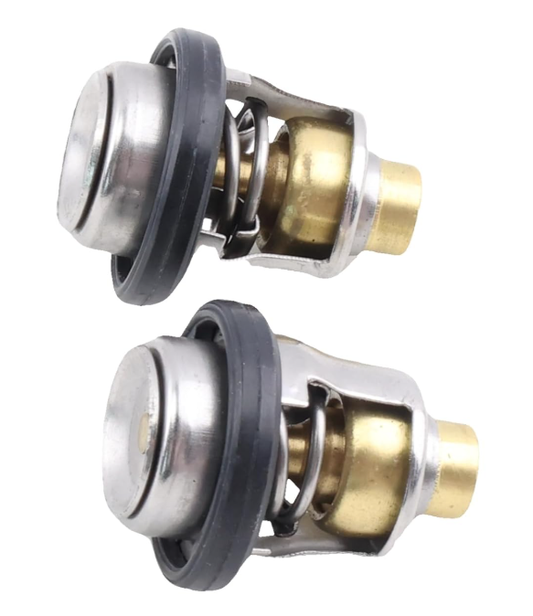 17670-93955 17670-93954 Thermostat （2pcs）