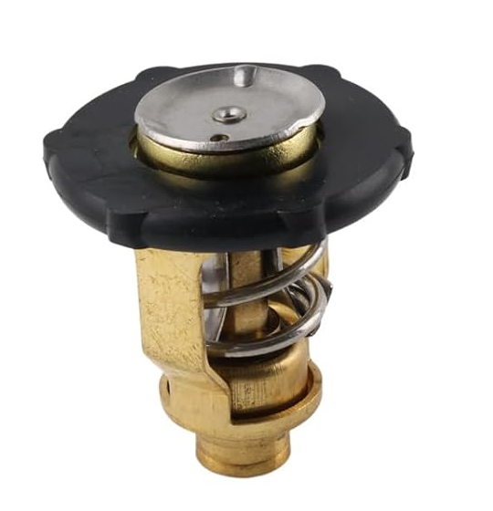 6AW-12411-00-00 Thermostat Replacement for Yamaha F300 F350 (V8) Outboard 4HP-450HP